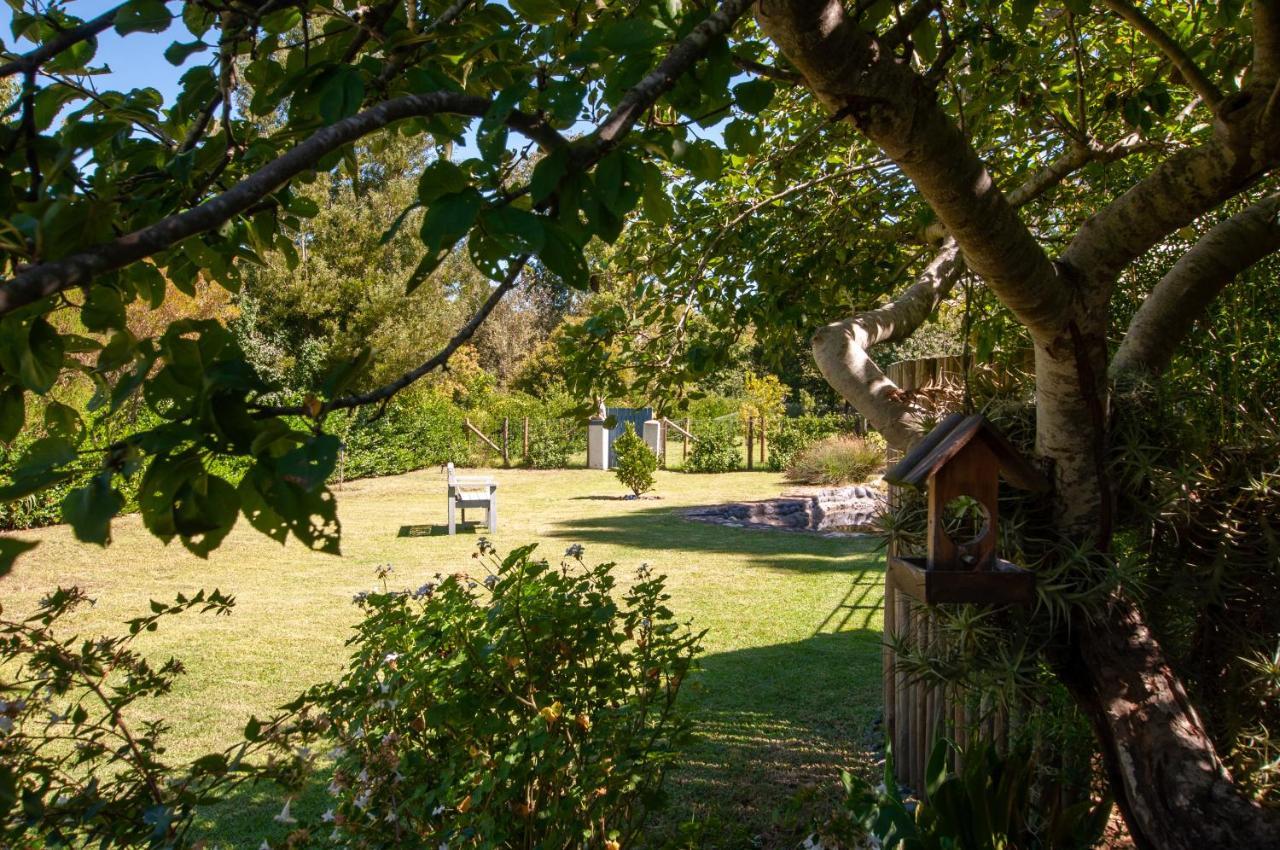 The Earthy * Greyton
